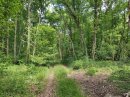 Bois de Vamprin